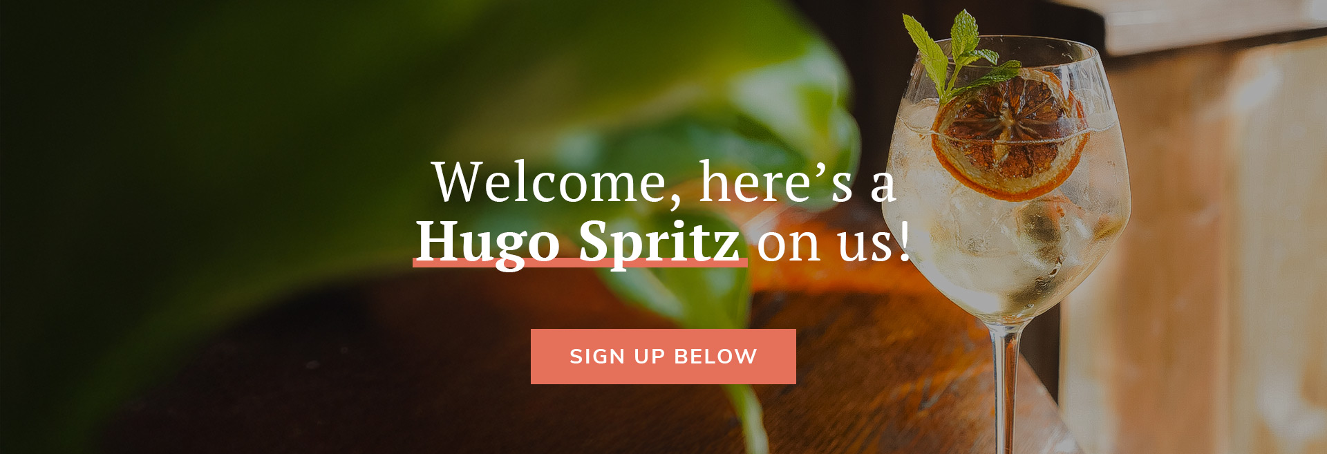 Sign up to the newsletter at The White Horse Hotel